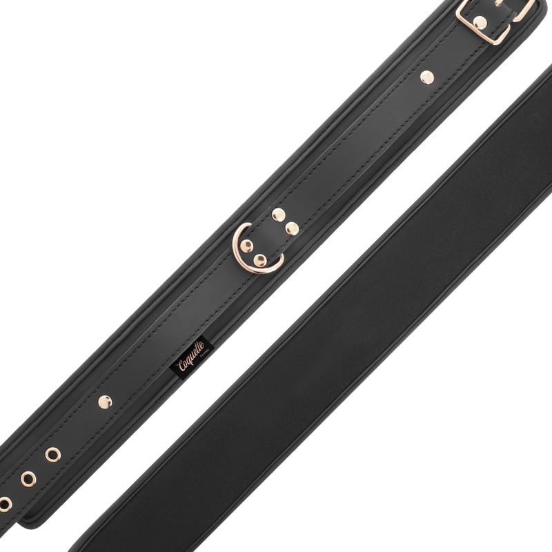 COQUETTE CHIC DESIRE - FANTASY VEGAN LEATHER COLLAR WITH NEOPRENE LINING - 8