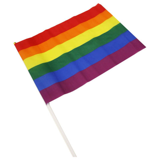 PRIDE - LGBT FLAG MEDIUM PENNANT - 1