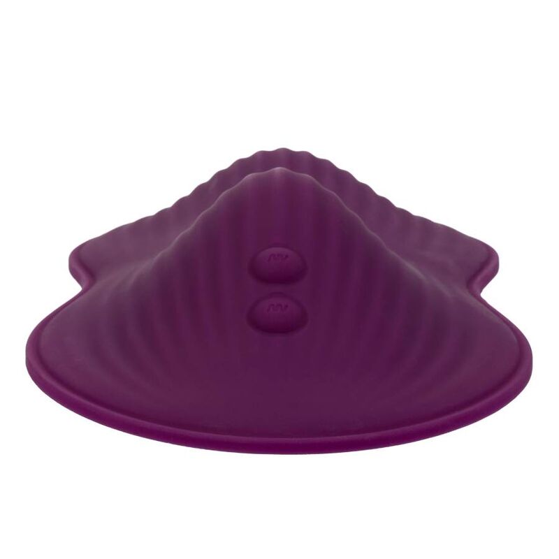 CALEXOTICS - DUAL RIDER REMOTE CONTROL