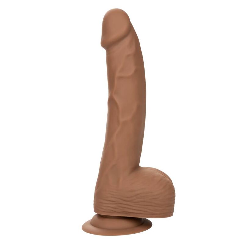 CALEXOTICS - SILICONE STUDS 20.32 CM BROWN - 6