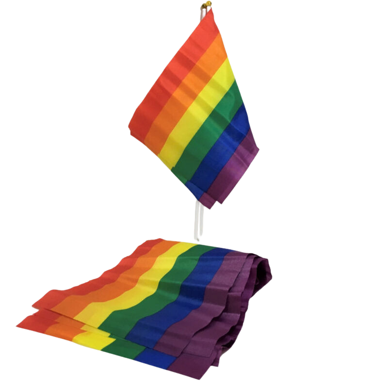 PRIDE - LGBT FLAG SMALL FLAG BANNER - 1