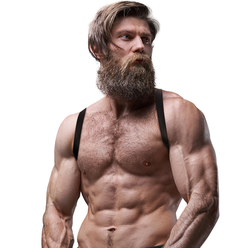 FETISH SUBMISSIVE ATTITUDE - MEN'S FAUX LEATHER BACK HARNESS