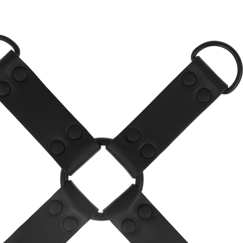 INTENSE - FETISH HOG TIE - 4