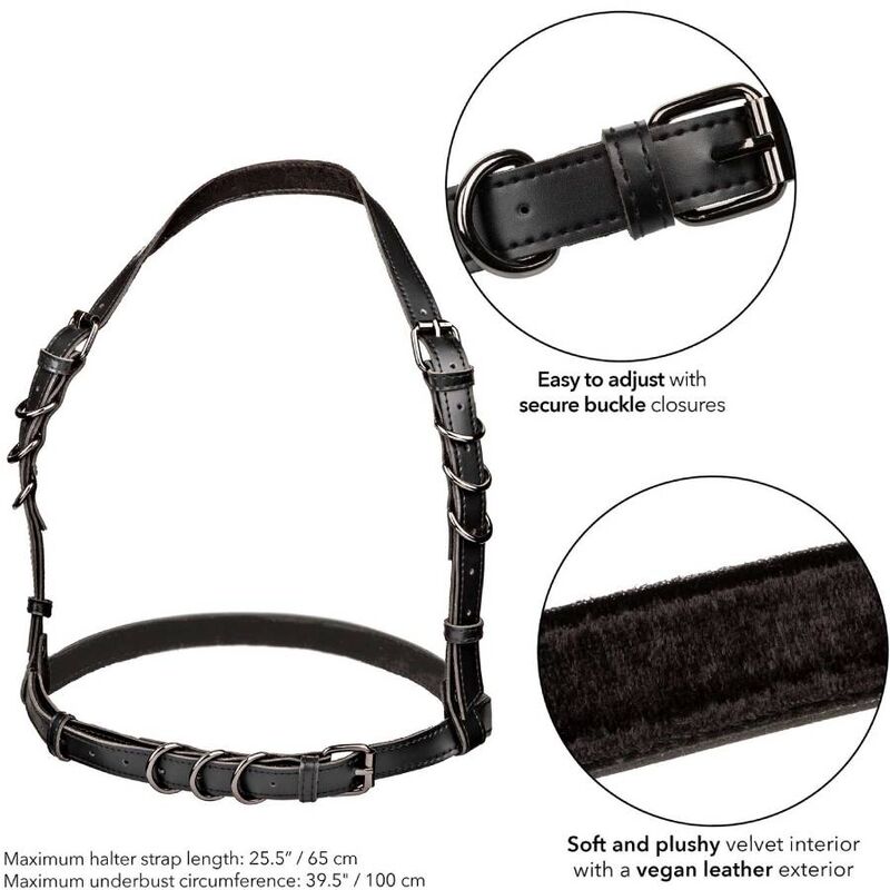 CALEXOTICS - EUPHORIA HALTER BUCKLE HARNESS BLACK - 2