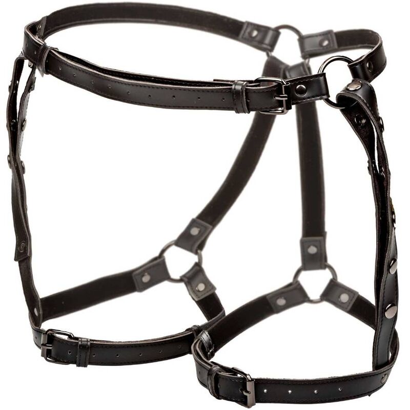 CALEXOTICS - EUPHORIA RIDING THIGH HARNESS - 6