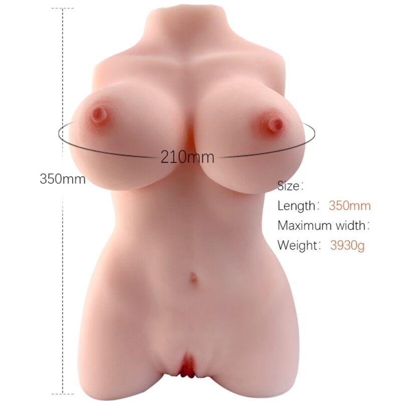 ARMONY - REALISTIC FEMALE TORSO MODEL 3 - 6