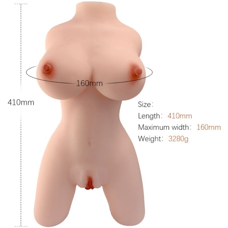 ARMONY - REALISTIC FEMALE TORSO MODEL 4 - 8