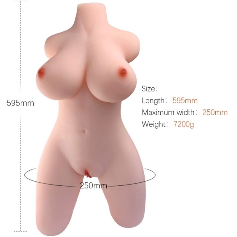 ARMONY - REALISTIC FEMALE TORSO MODEL 2 - 6