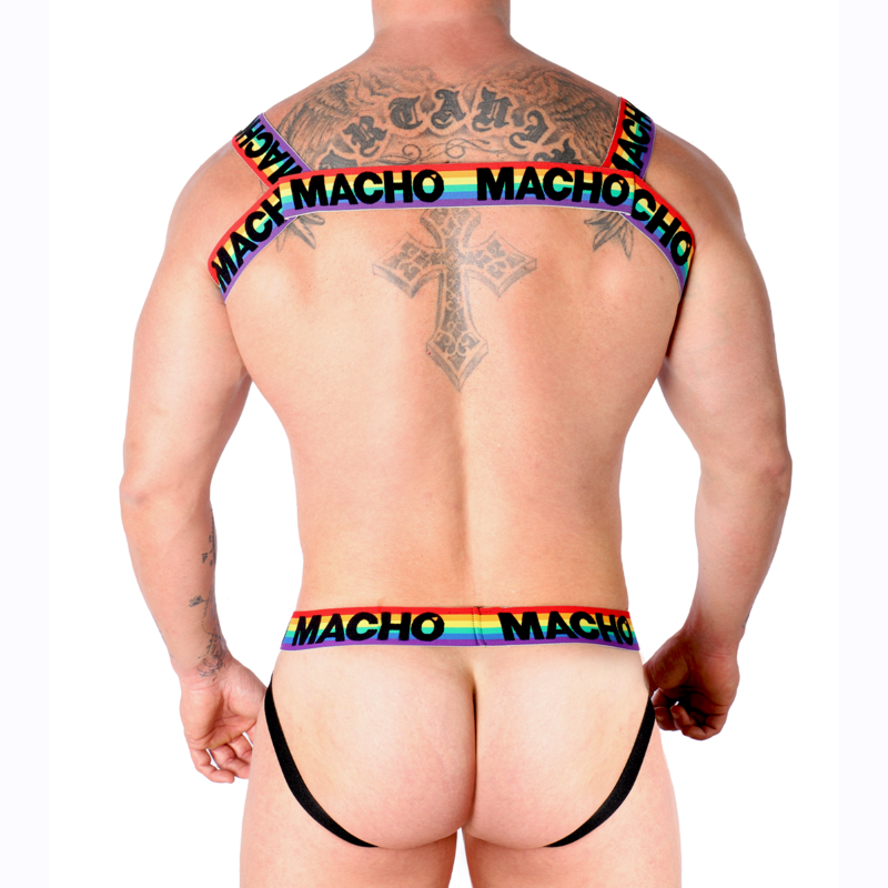 MACHO - DOUBLE HARNESS PRIDE LIMITED - 4