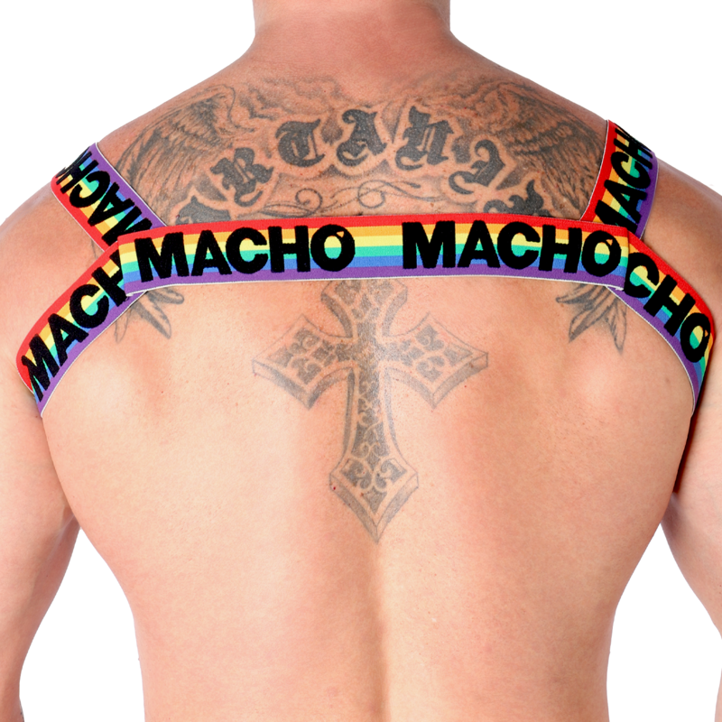 MACHO - DOUBLE HARNESS PRIDE LIMITED - 3
