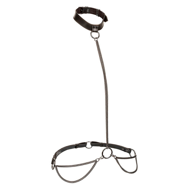 CALEXOTICS - EUPHORIA CHAIN HALTER COLLAR & LEASH PLUS SIZE - 6