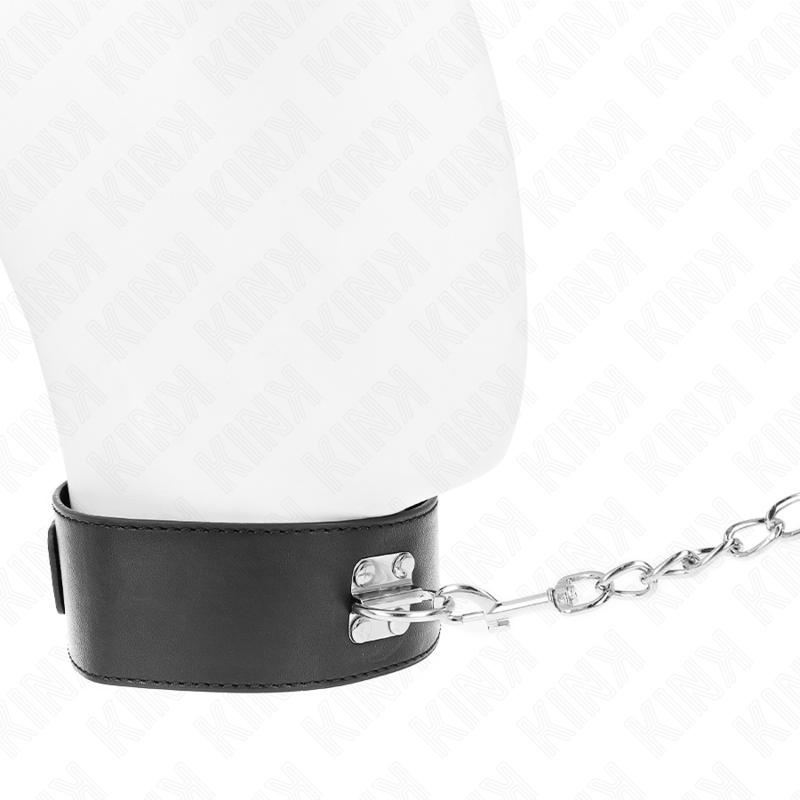 KINK - BASIC MODEL COLLAR WITH LEASH 65 CM MODEL 0 - 3