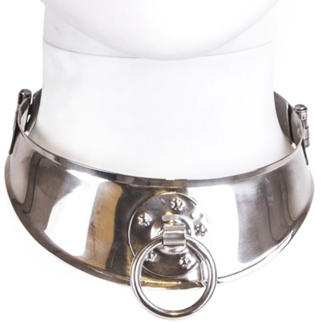 METAL HARD - RESTRAINT COLLAR WITH RING - 1