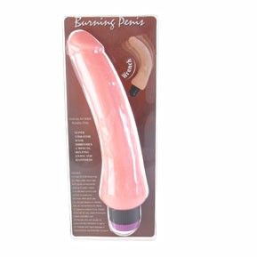 BAILE - REALISTIC VIBRATOR 19.5 CM - 4