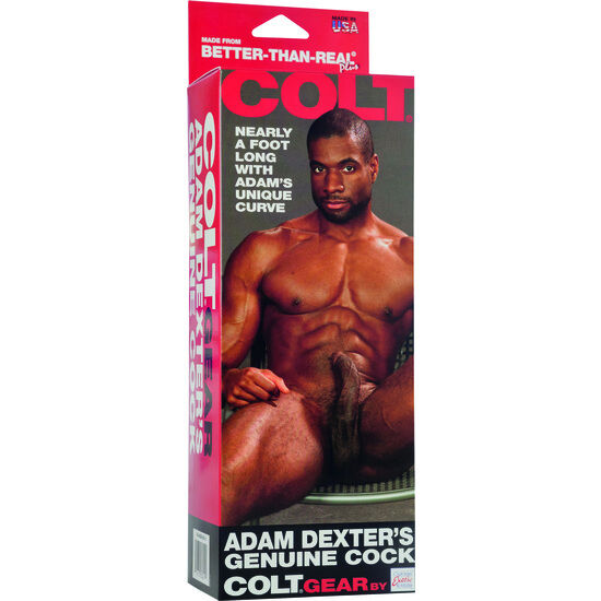 CALEXOTICS - COLT ADAM DEXTERS COCK - 2