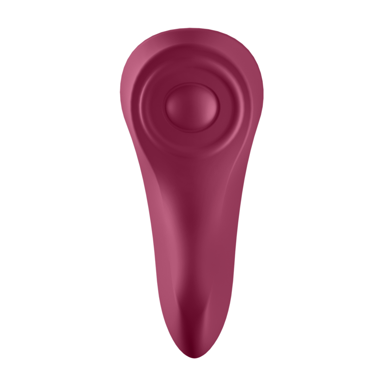SATISFYER - SEXY SECRET PANTY - 6