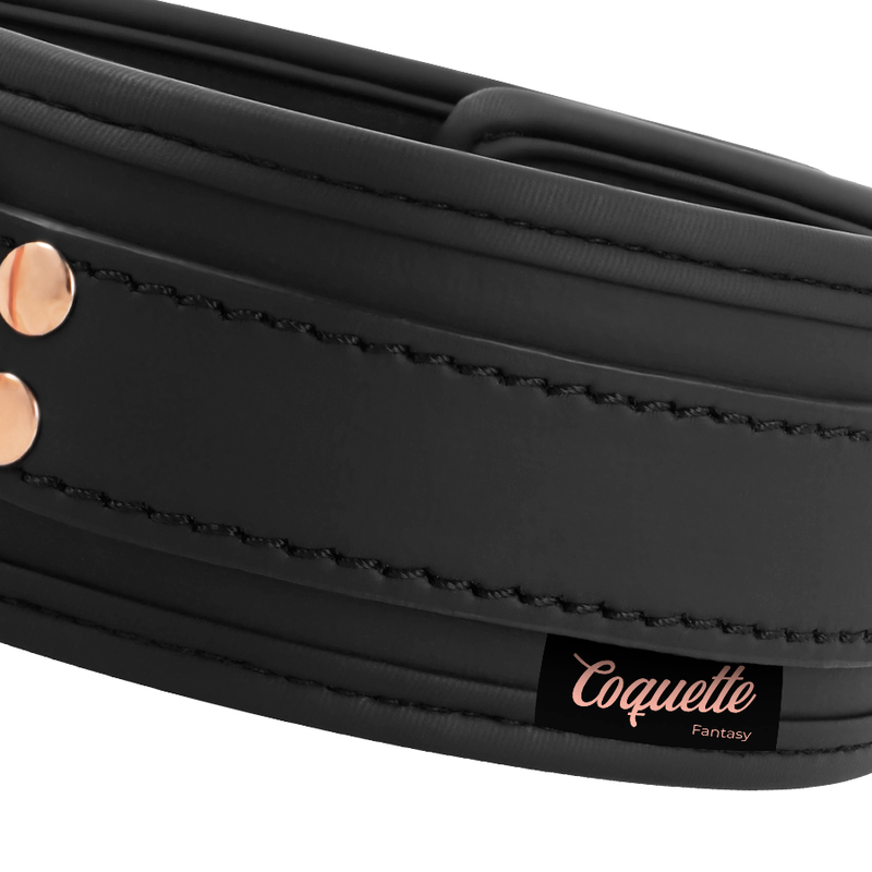 COQUETTE CHIC DESIRE - FANTASY VEGAN LEATHER COLLAR WITH NEOPRENE LINING - 7