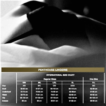 PENTHOUSE - NO EXCUSES STOCKINGS S/M/L - 4