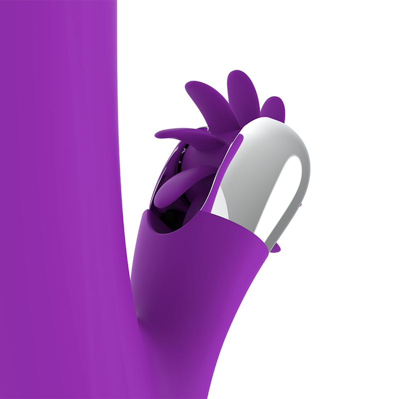 FUN FUNCTION - BUNNY FUNNY ROTATION 2.0 - 6