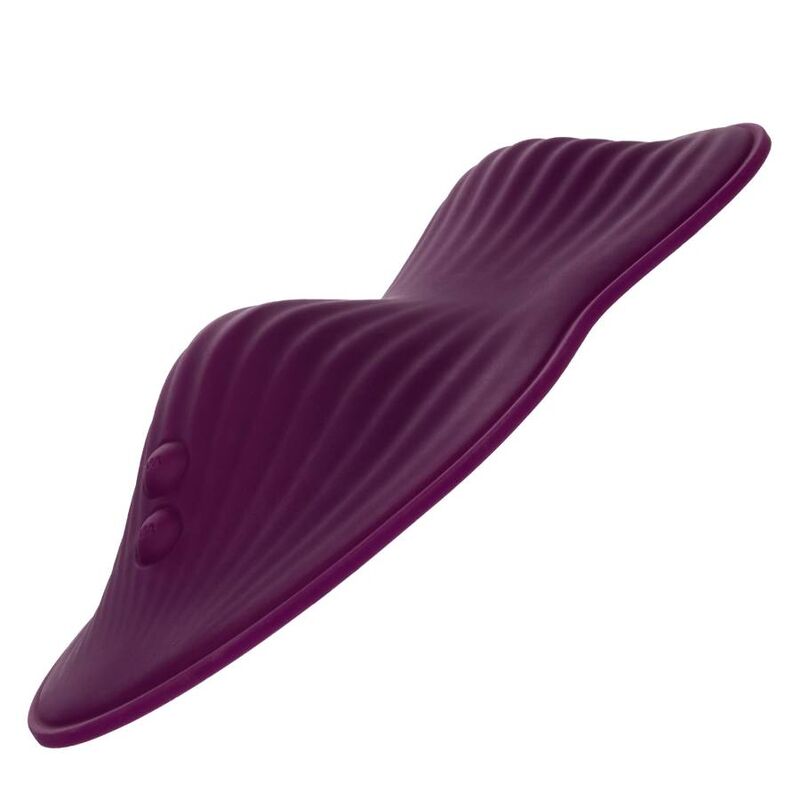 CALEXOTICS - REMOTE CONTROL DUAL RIDER - 5