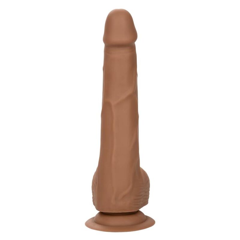 CALEXOTICS - SILICONE STUDS 20.32 CM BROWN - 8