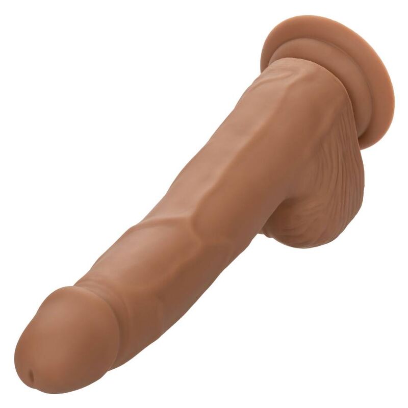 CALEXOTICS - SILICONE STUDS 20.32 CM BROWN - 11