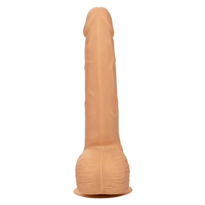 CALEXOTICS - 20.32 CM SILICONE STUDS LEATHER