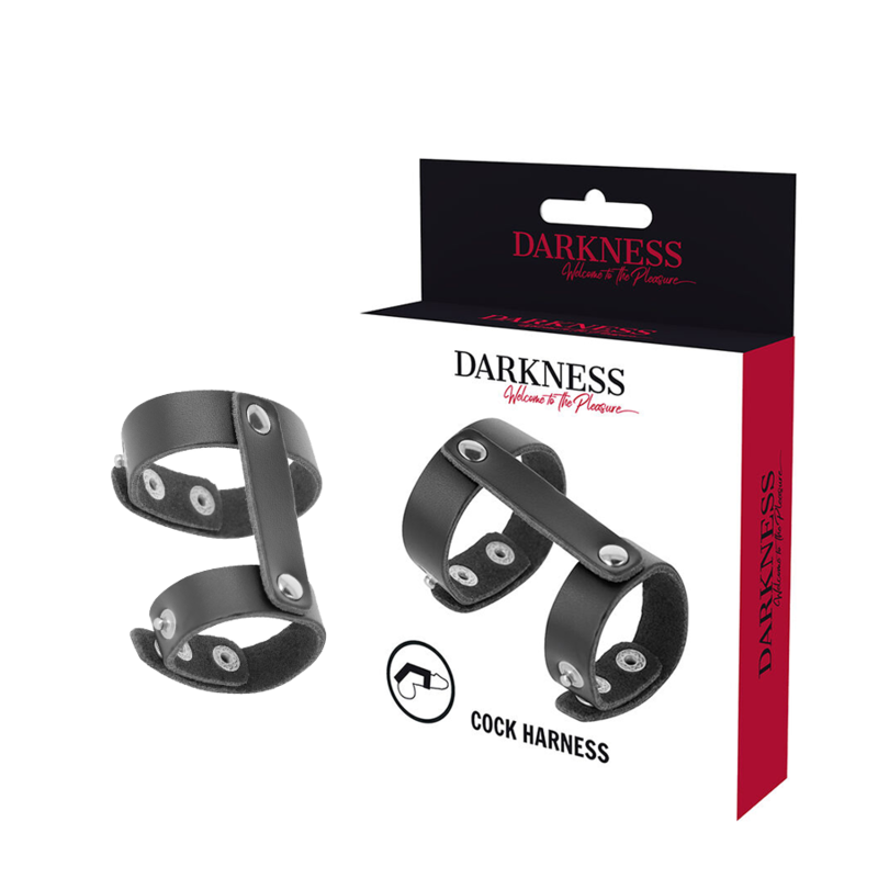 DARKNESS - LEATHER ADJUSTABLE PENIS AND TESTICLE RING - 4