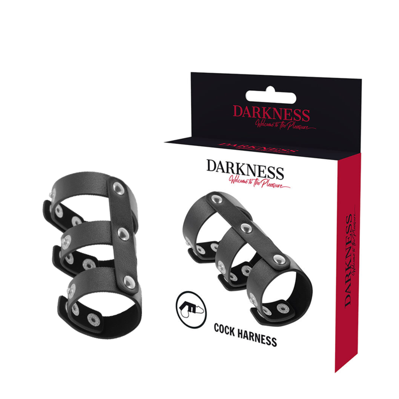 DARKNESS - ADJUSTABLE LEATHER DOUBLE PENIS AND TESTICLE RING - 4