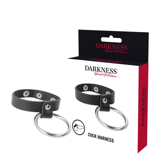 DARKNESS - METAL RING FOR THE PENIS AND TESTICLES - 1