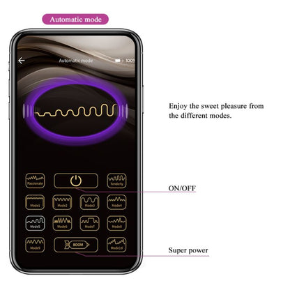 PRETTY LOVE - ELVIRA RECHARGEABLE VIBRATING BALLS PURPLE - 9