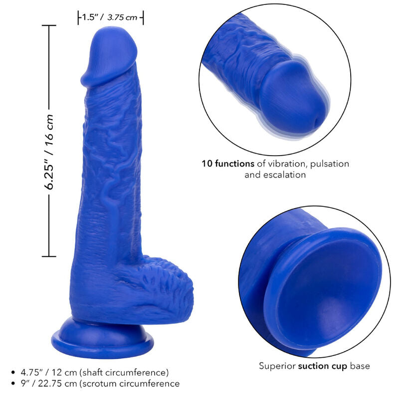 CALEXOTICS - ADMIRAL SAILOR REALISTIC DILDO VIBRATOR BLUE - 4