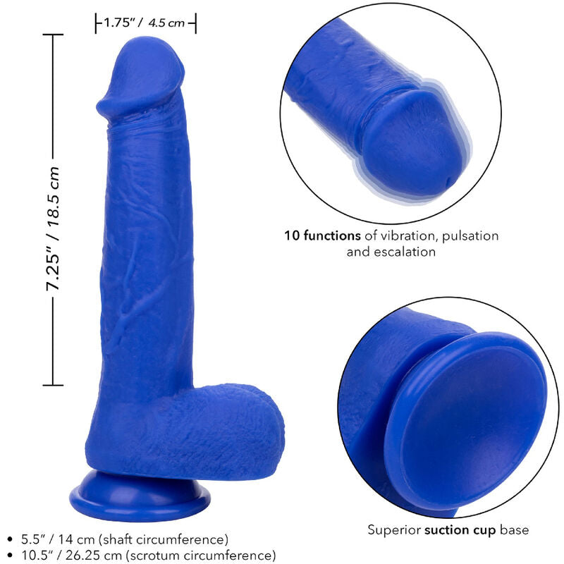 CALEXOTICS - ADMIRAL CAPTAIN REALISTIC DILDO VIBRATOR BLUE - 4