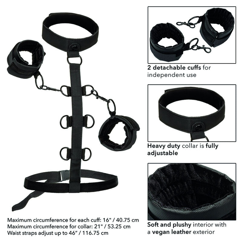 CALEXOTICS - BOUNDLESS COLLAR BODY RESTRAINT - 5