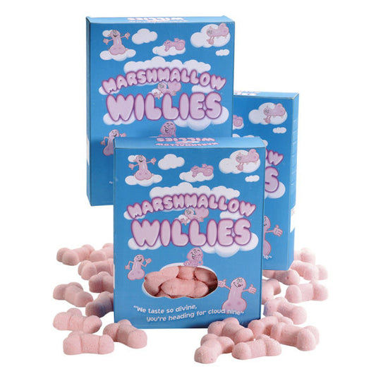 SPENCER & FLEETWOOD - SWEET CLOUDS IN THE SHAPE OF A PENIS - 1