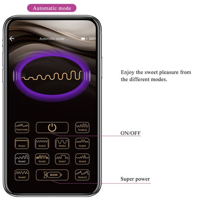 PRETTY LOVE - ABNER APP PURPLE - 15