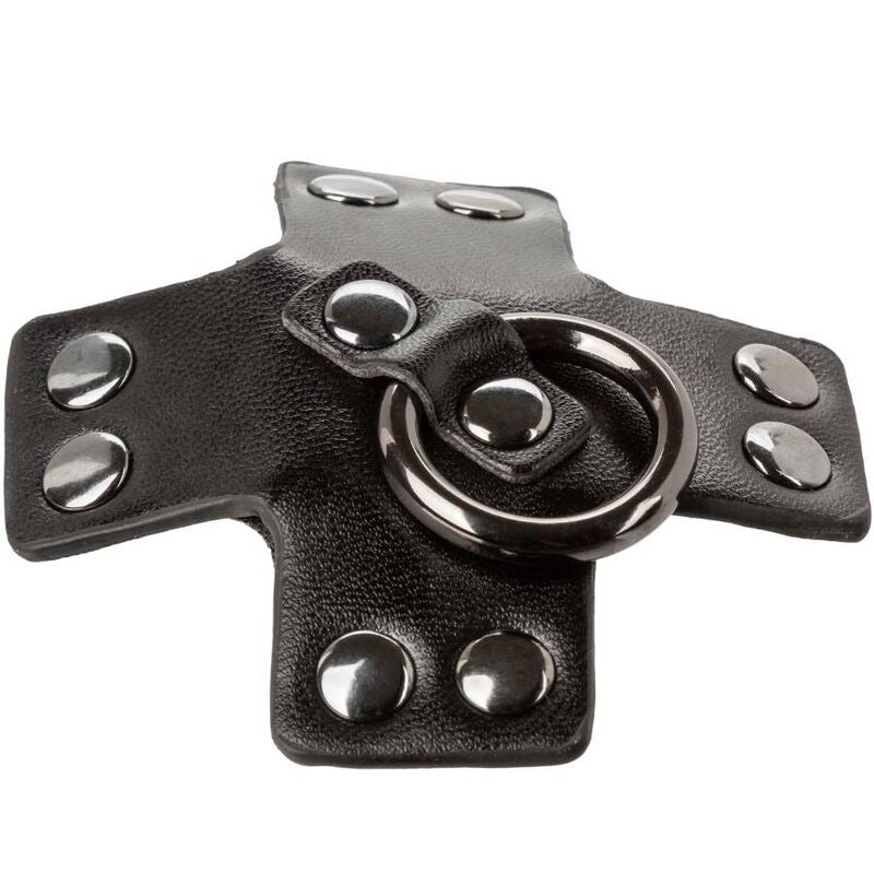 CALEXOTICS - EUPHORIA O-RING BLACK - 4