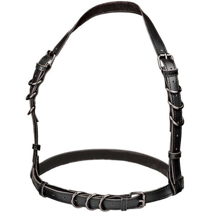 CALEXOTICS - EUPHORIA HALTER BUCKLE HARNESS BLACK - 4