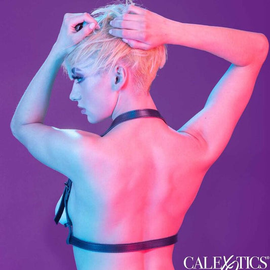 CALEXOTICS - EUPHORIA HALTER BUCKLE HARNESS BLACK - 1