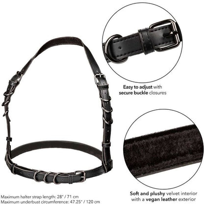 CALEXOTICS - EUPHORIA PLUS SIZE HALTER BUCKLE HARNESS BLACK - 2