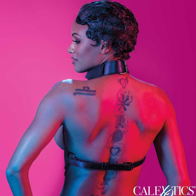 CALEXOTICS - EUPHORIA MULTI CHAIN ​​COLLAR HARNESS