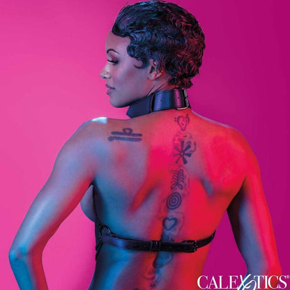 CALEXOTICS - EUPHORIA MULTI CHAIN ​​COLLAR HARNESS