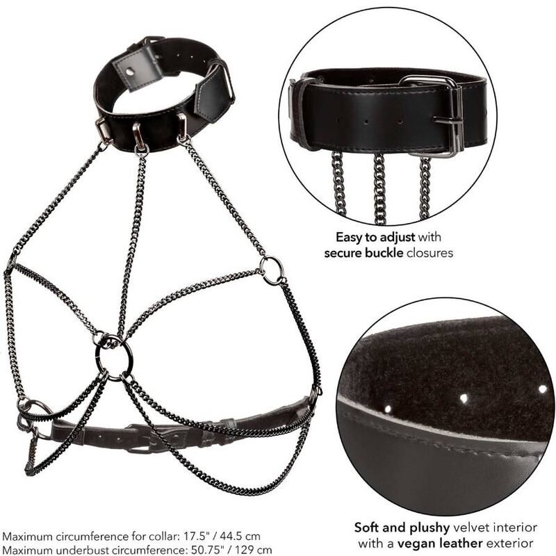 CALEXOTICS - EUPHORIA PLUS SIZE MULTI CHAIN COLLAR HARNESS - 6