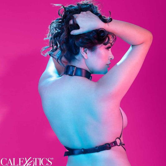CALEXOTICS - EUPHORIA PLUS SIZE MULTI CHAIN COLLAR HARNESS - 1