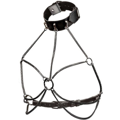 CALEXOTICS - EUPHORIA PLUS SIZE MULTI CHAIN COLLAR HARNESS - 2