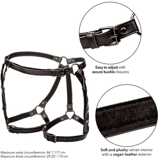 CALEXOTICS - EUPHORIA RIDING HARNESS PLUS SIZE
