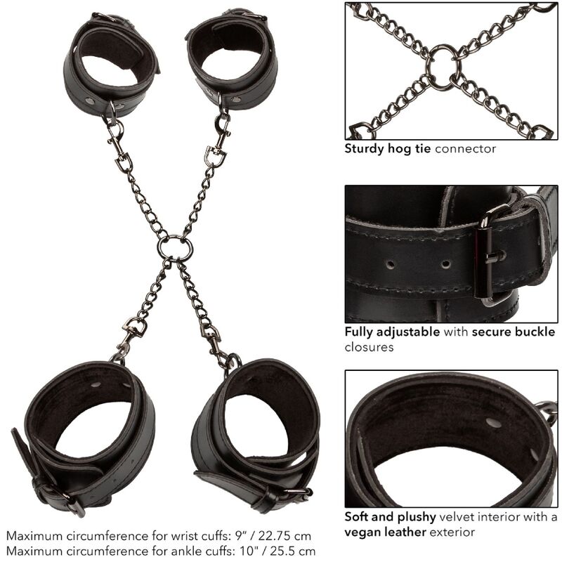CALEXOTICS - EUPHORIA HOG TIE - 4
