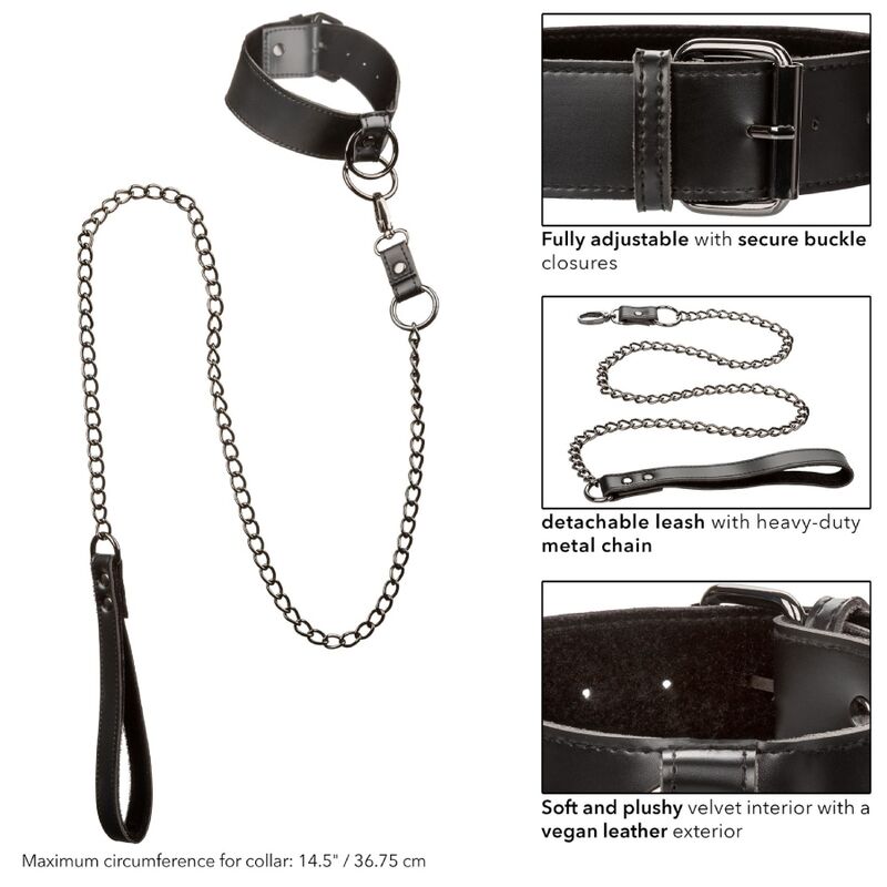 CALEXOTICS - EUPHORIA COLLAR WITH CHAIN LEASH - 9