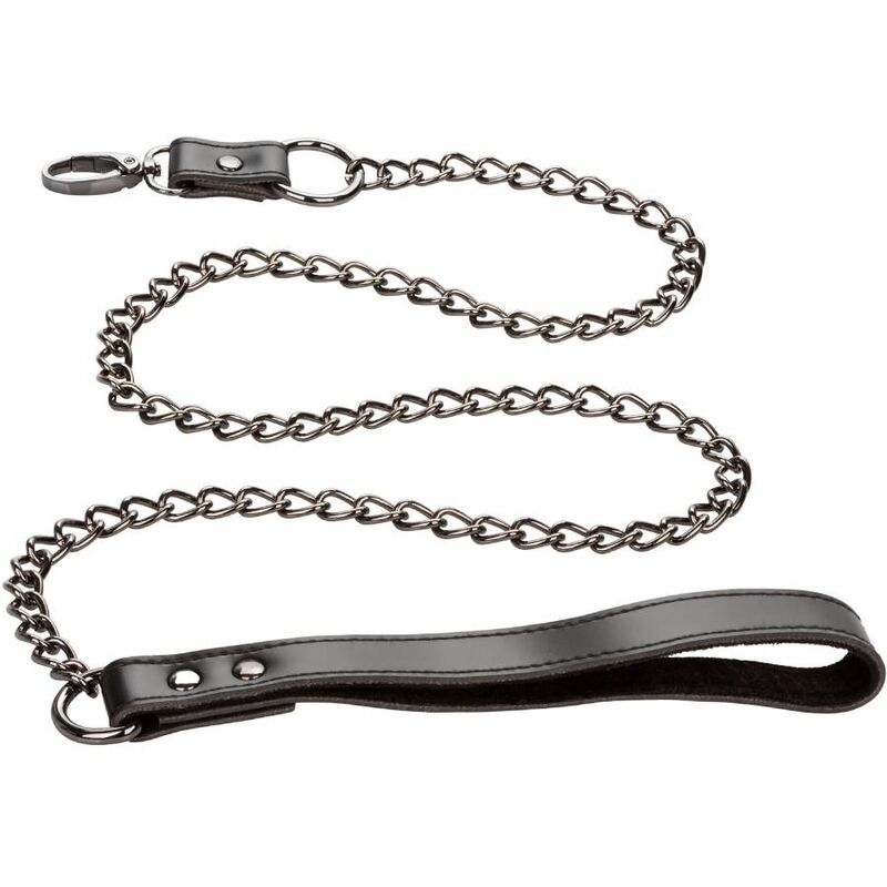 CALEXOTICS - EUPHORIA COLLAR WITH CHAIN LEASH - 5