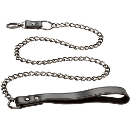 CALEXOTICS - EUPHORIA COLLAR WITH CHAIN LEASH - 5